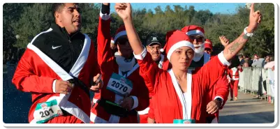 Foto número 1 de galería