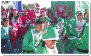 Foto número 4 de galería