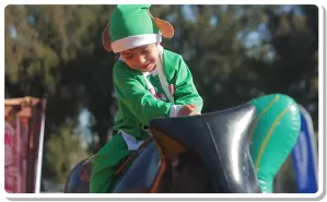 Foto número 6 de galería