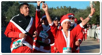 Foto número 1 de galería